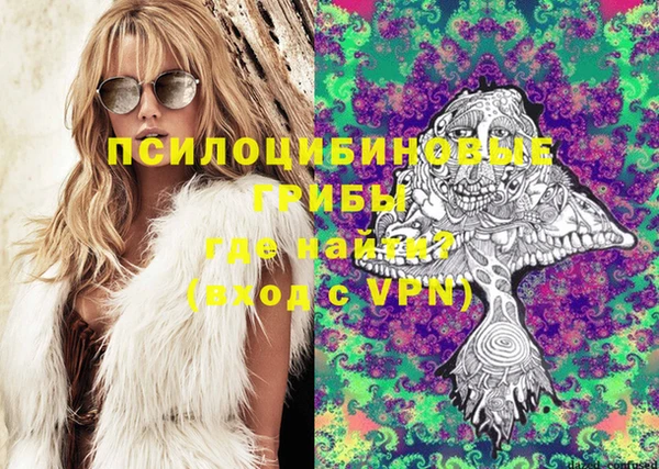 гидропоника Алексеевка