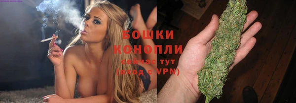 шишки Покачи