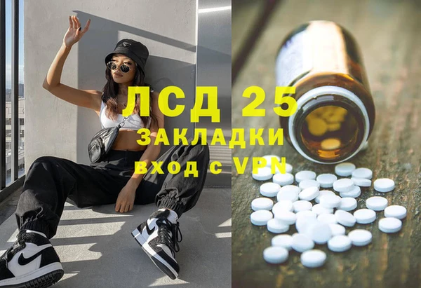 шишки Абинск