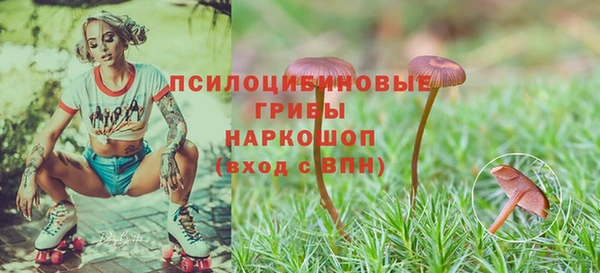 скорость mdpv Абаза