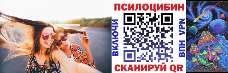 Галлюциногенные грибы Psilocybine cubensis  кракен как зайти  Дмитровск 